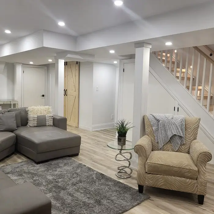 Basement Renovation S5