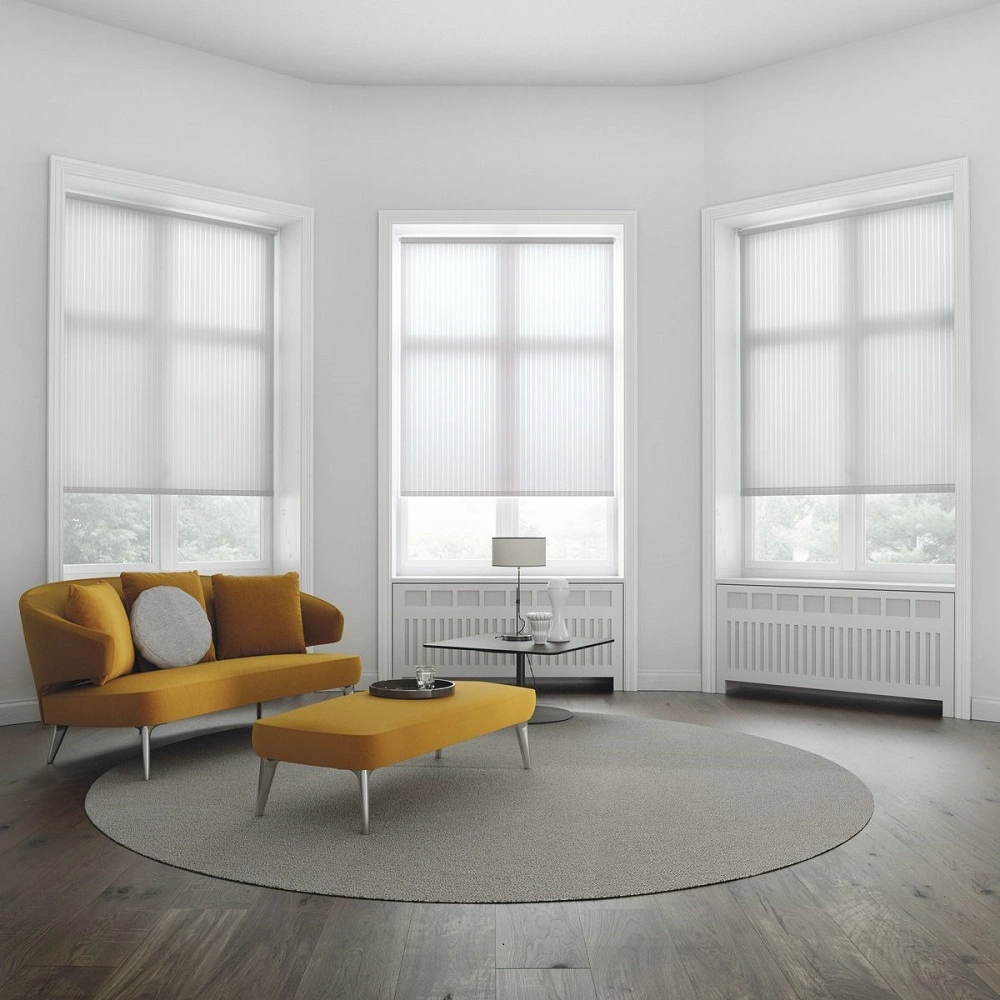 white blinds