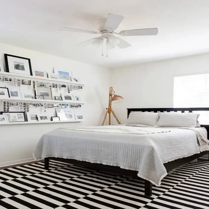 Black and White Carpets