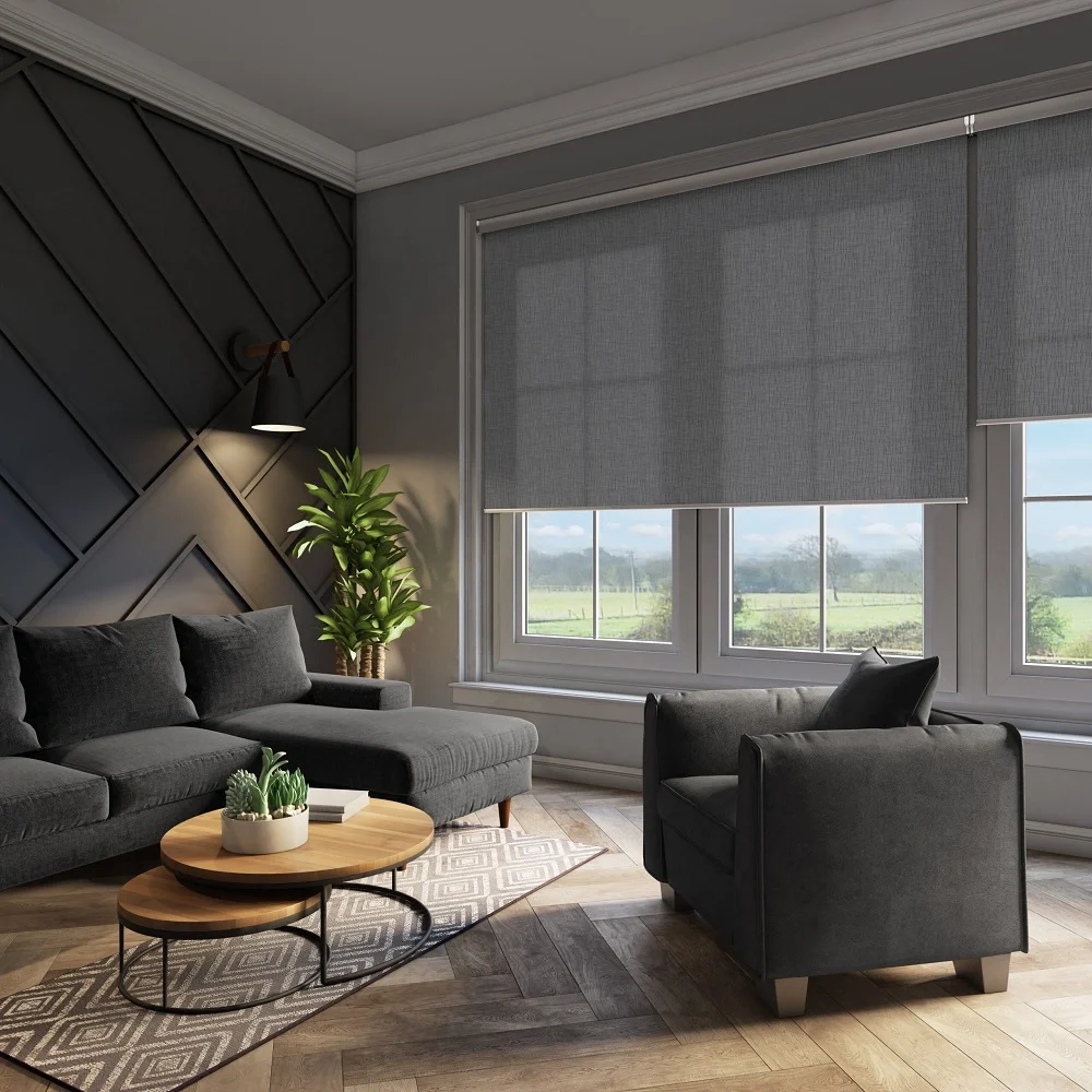 Living Room Blinds