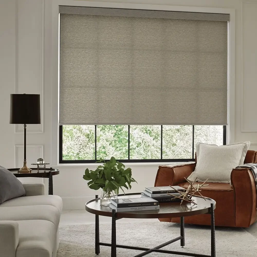 Motorized Blinds 6 Smart Blinds