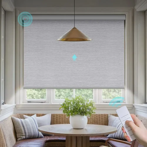 Motorized Blinds