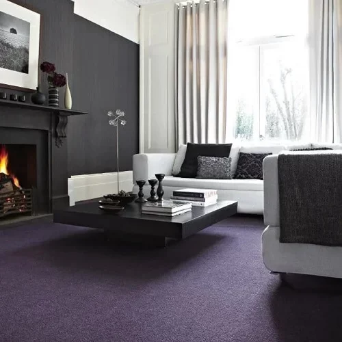Purple Carpets Purple Carpets
