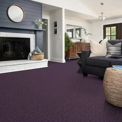 Purple Carpets Purple Carpets