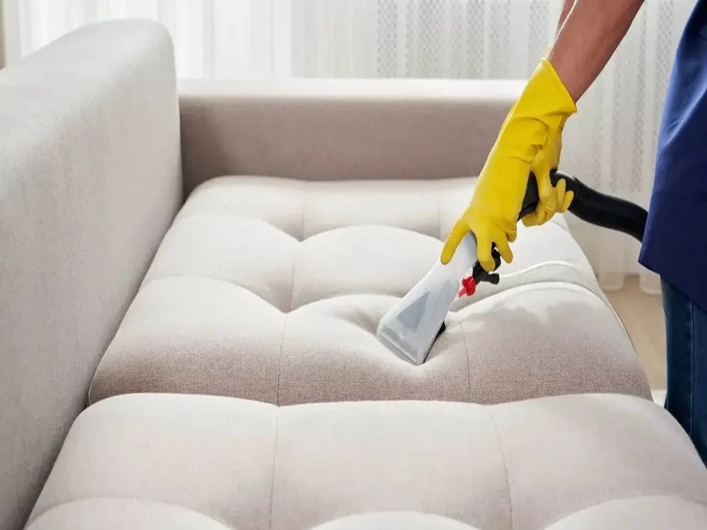 Sofa Maintenance
