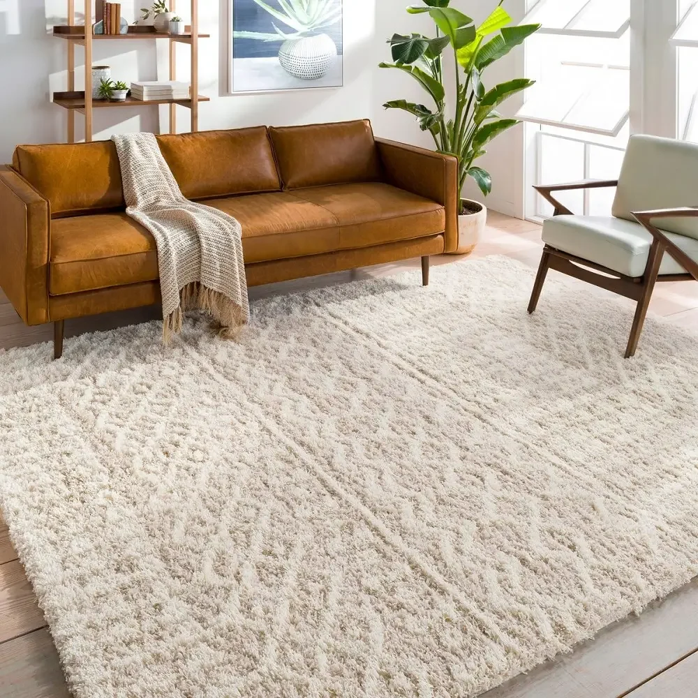 area rugs 4