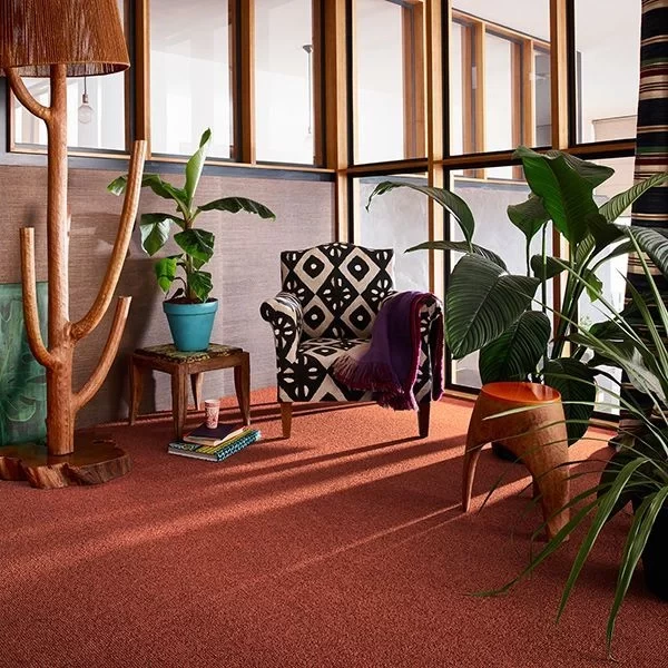 Orange Carpets